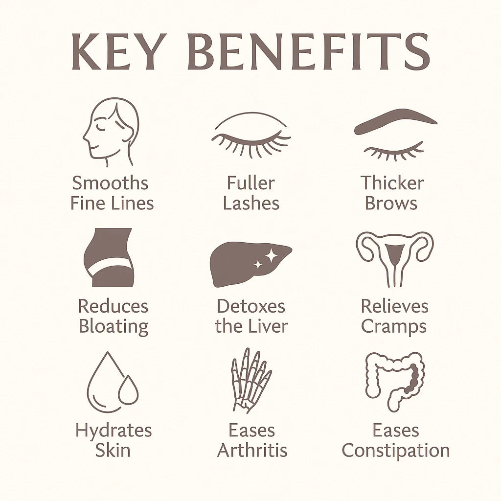 Soldaire Organic Castor Oil Roll-On