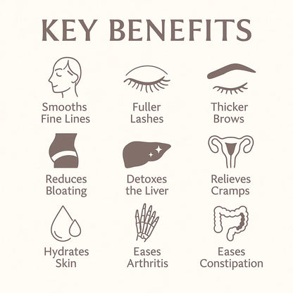 Soldaire Organic Castor Oil Roll-On