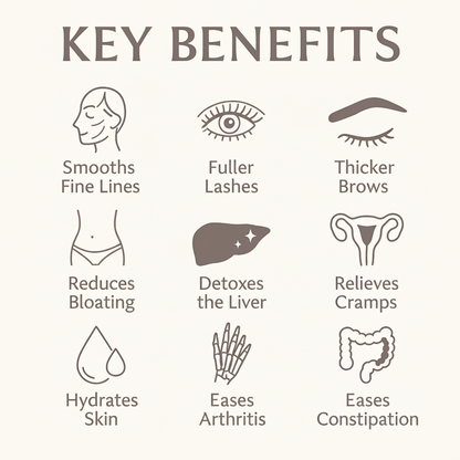 Soldaire Organic Castor Oil Roll On