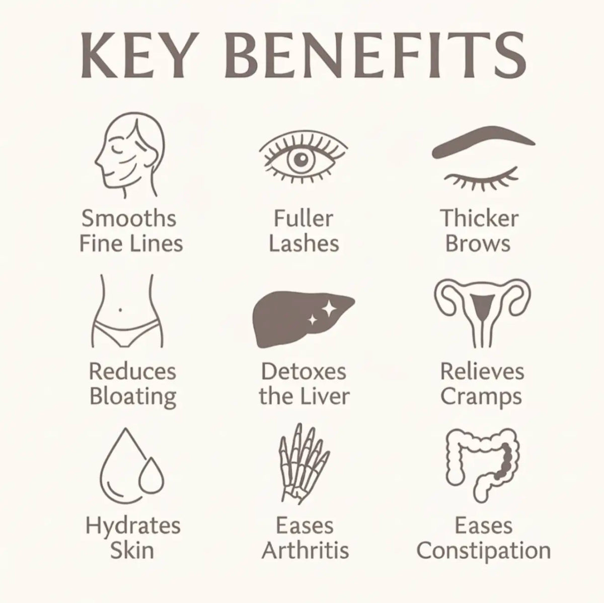 Soldaire | 100% Organic Castor Oil Roll On - Soldaire