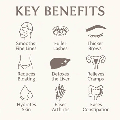 Soldaire | 100% Organic Castor Oil Roll On - Soldaire